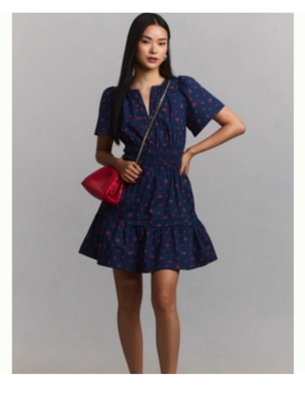 The Somerset Strawberry Printed Mini Dress By Anthropologie Size L! NWT!